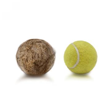 Firedog Kaninchen-Tennisball